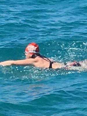 Training for the Bay Swim